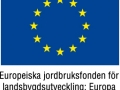 EU_grund